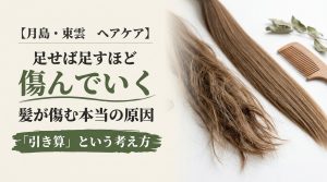 傷んだ毛束となめらかな毛束、木の櫛